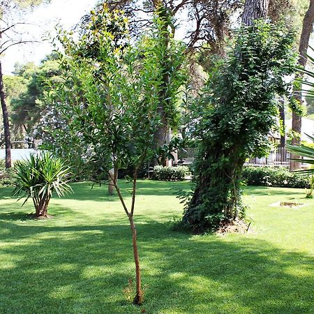 Il Melograno B&B Castellaneta Marina Exterior foto