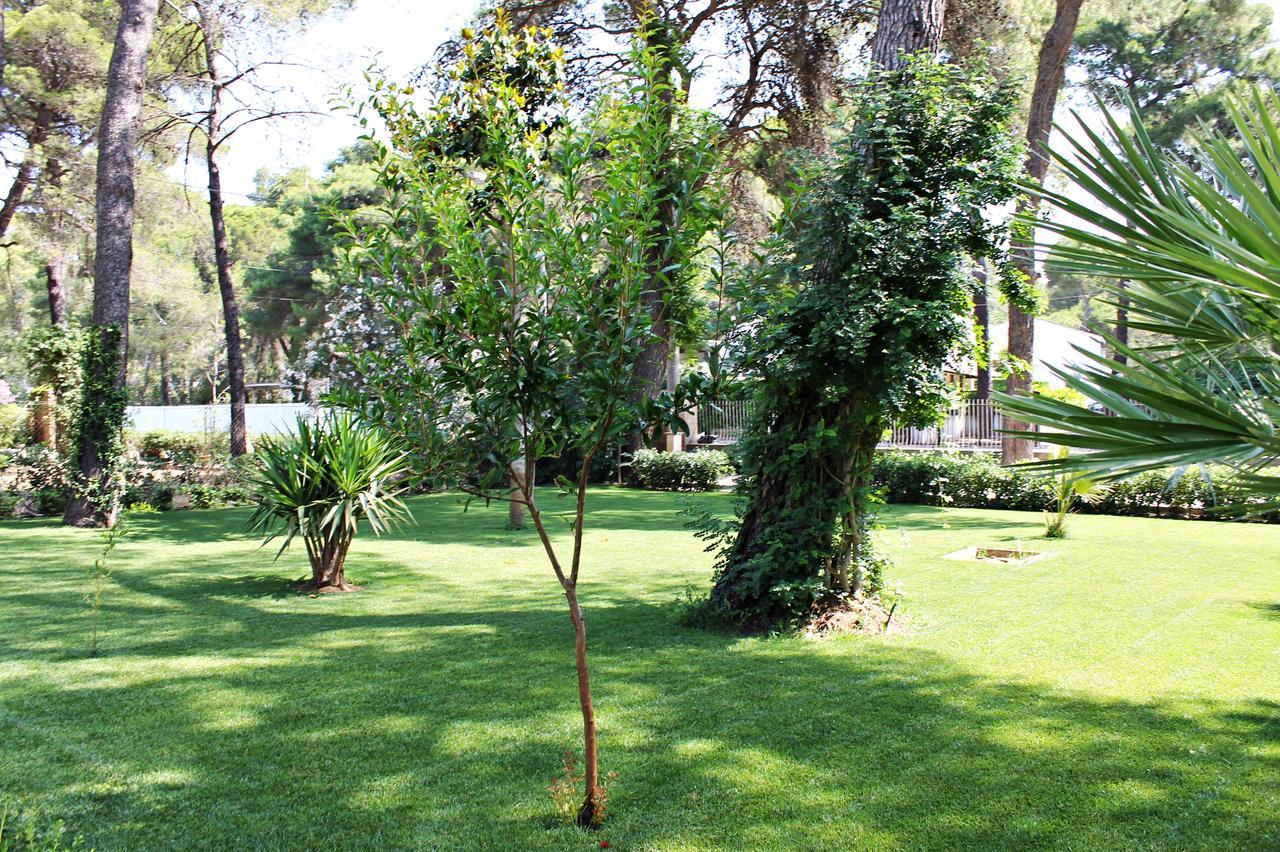 Il Melograno B&B Castellaneta Marina Exterior foto